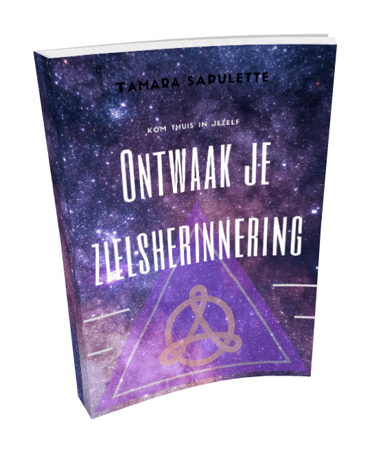 Ebook Zielsherinnering1
