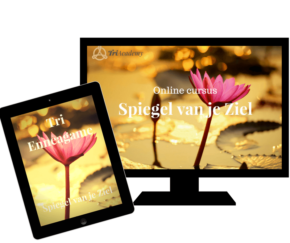 Spiegel van je Ziel online cursus
