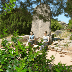 sardinie