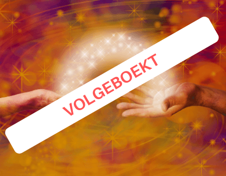 Workshop Universal Energy Healer