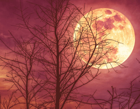 Moon Magic