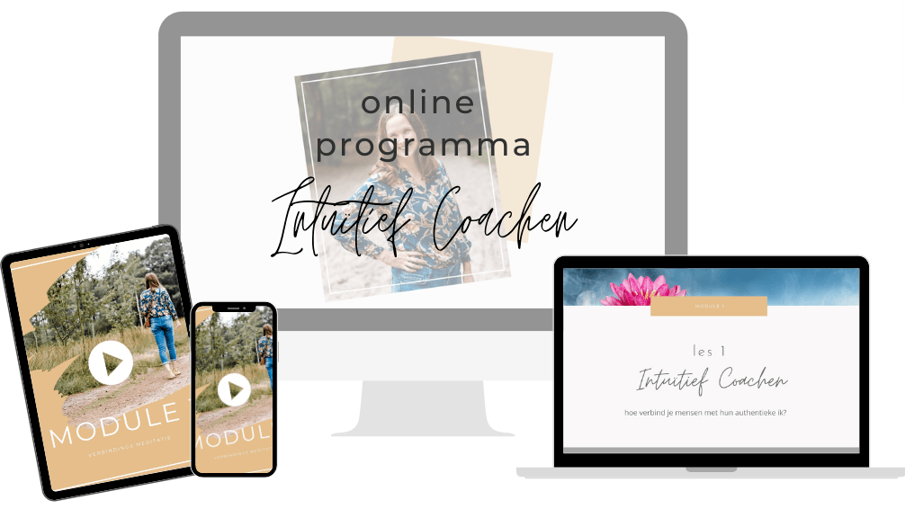 Online Programma