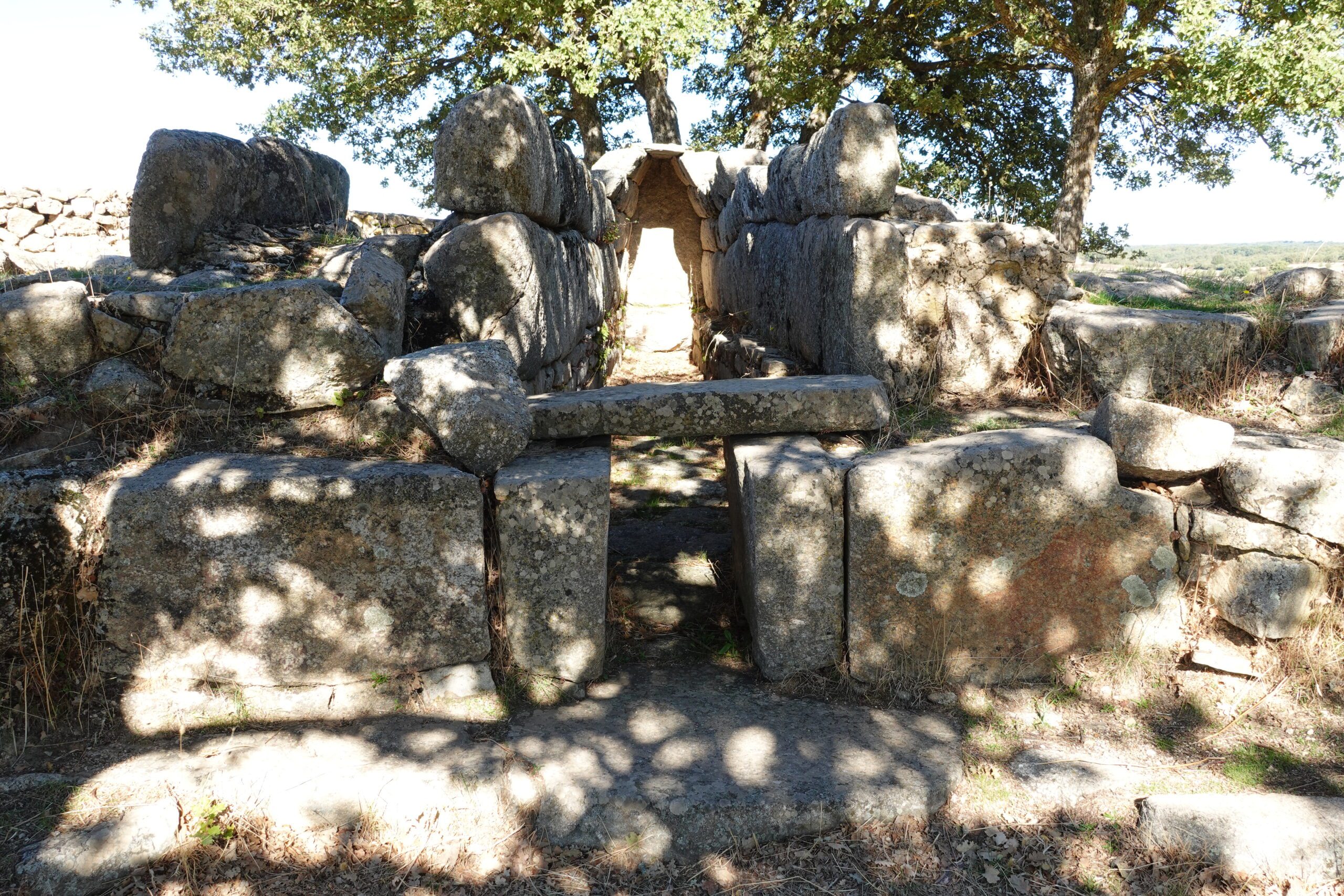 DSC00596