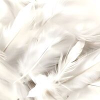 Online Cursus Channelen voor beginners